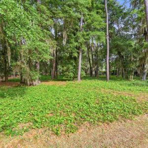 Photo #3 of 116 Sandy Ridge Loop, Pawleys Island, SC 1.8 acres