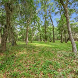 Photo #5 of 116 Sandy Ridge Loop, Pawleys Island, SC 1.8 acres