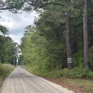 Photo #2 of 452 Tram Rd., Cades, SC 71.9 acres