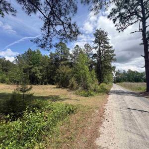 Photo #9 of 452 Tram Rd., Cades, SC 71.9 acres