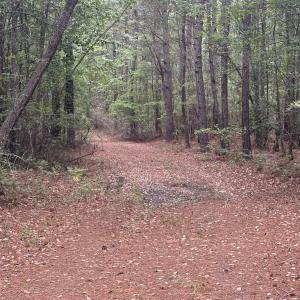 Photo #2 of 452 Tram Rd., Cades, SC 71.9 acres