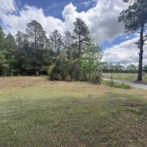 Photo #7 of 452 Tram Rd., Cades, SC 71.9 acres