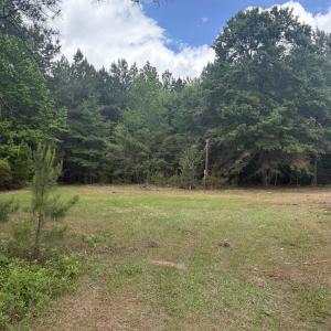 Photo #10 of 452 Tram Rd., Cades, SC 71.9 acres