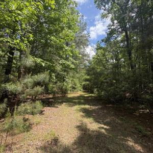 Photo #16 of 452 Tram Rd., Cades, SC 71.9 acres