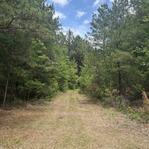 Photo #19 of 452 Tram Rd., Cades, SC 71.9 acres