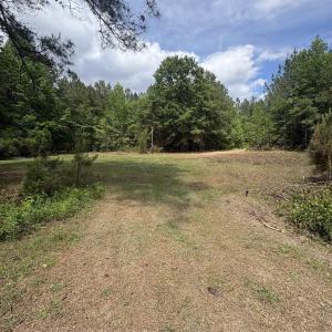 Photo #8 of 452 Tram Rd., Cades, SC 71.9 acres