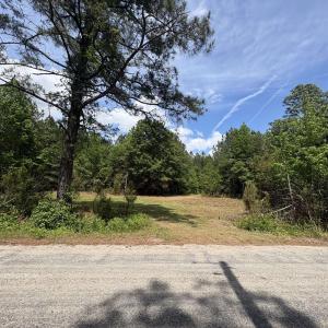 Photo #11 of 452 Tram Rd., Cades, SC 71.9 acres