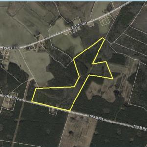 Photo #1 of 452 Tram Rd., Cades, SC 71.9 acres