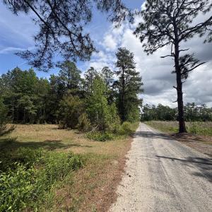 Photo #4 of 452 Tram Rd., Cades, SC 71.9 acres