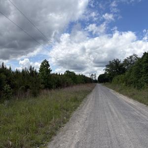 Photo #3 of 452 Tram Rd., Cades, SC 71.9 acres