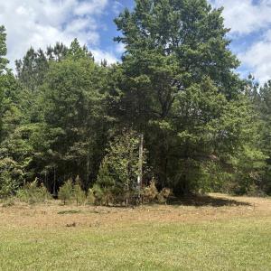 Photo #22 of 452 Tram Rd., Cades, SC 71.9 acres