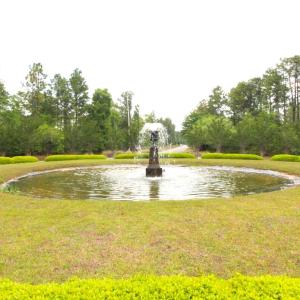Photo #12 of 79 Bridge View Rd., Georgetown, SC 0.2 acres