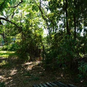 Photo #22 of 2304 Highmarket St., Georgetown, SC 1.8 acres