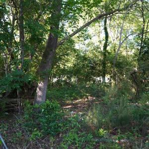 Photo #15 of 2304 Highmarket St., Georgetown, SC 1.8 acres