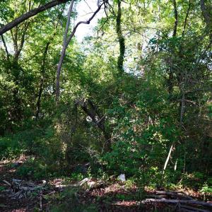 Photo #17 of 2304 Highmarket St., Georgetown, SC 1.8 acres