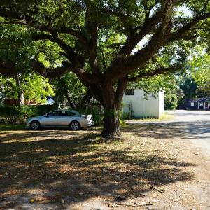 Photo #36 of 2304 Highmarket St., Georgetown, SC 1.8 acres