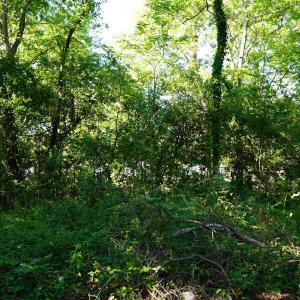 Photo #18 of 2304 Highmarket St., Georgetown, SC 1.8 acres