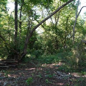 Photo #16 of 2304 Highmarket St., Georgetown, SC 1.8 acres