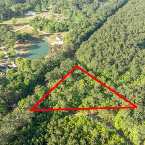 Photo #21 of Etheridge Dr., Andrews, SC 1.2 acres