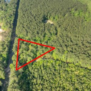 Photo #23 of Etheridge Dr., Andrews, SC 1.2 acres