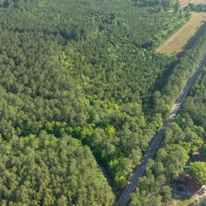 Photo #9 of Etheridge Dr., Andrews, SC 1.2 acres