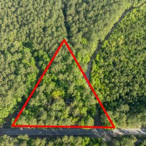 Photo #26 of Etheridge Dr., Andrews, SC 1.2 acres