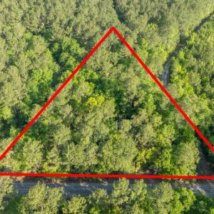 Photo #17 of Etheridge Dr., Andrews, SC 1.2 acres