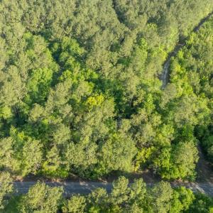 Photo #1 of Etheridge Dr., Andrews, SC 1.2 acres