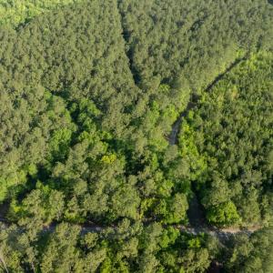 Photo #6 of Etheridge Dr., Andrews, SC 1.2 acres