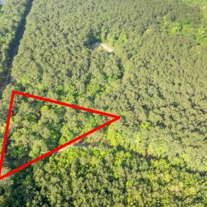 Photo #15 of Etheridge Dr., Andrews, SC 1.2 acres