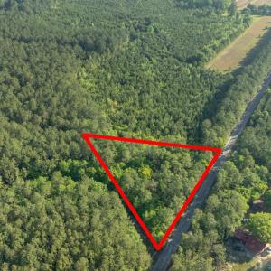 Photo #18 of Etheridge Dr., Andrews, SC 1.2 acres