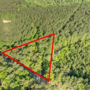 Photo #16 of Etheridge Dr., Andrews, SC 1.2 acres