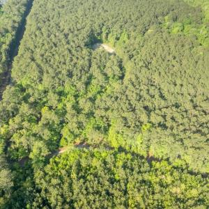 Photo #4 of Etheridge Dr., Andrews, SC 1.2 acres