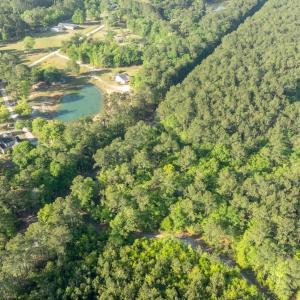 Photo #2 of Etheridge Dr., Andrews, SC 1.2 acres
