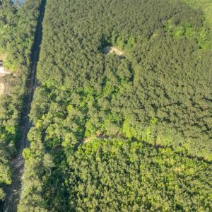 Photo #7 of Etheridge Dr., Andrews, SC 1.2 acres