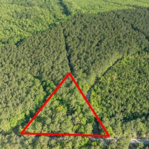 Photo #20 of Etheridge Dr., Andrews, SC 1.2 acres