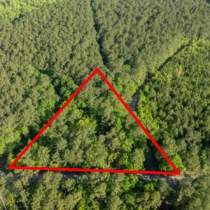 Photo #25 of Etheridge Dr., Andrews, SC 1.2 acres