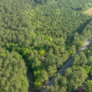 Photo #8 of Etheridge Dr., Andrews, SC 1.2 acres
