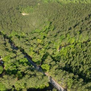 Photo #10 of Etheridge Dr., Andrews, SC 1.2 acres