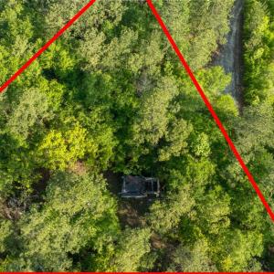 Photo #22 of Etheridge Dr., Andrews, SC 1.2 acres