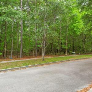 Photo #1 of 153 Duany Dr., Georgetown, SC 0.3 acres