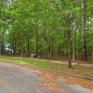 Photo #2 of 153 Duany Dr., Georgetown, SC 0.3 acres