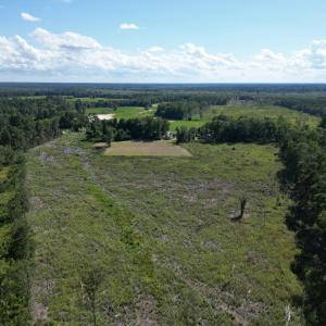 Photo #13 of TBD Highway 792, Loris, SC 21.9 acres