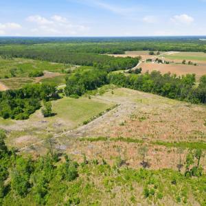 Photo #12 of TBD Highway 792, Loris, SC 21.9 acres