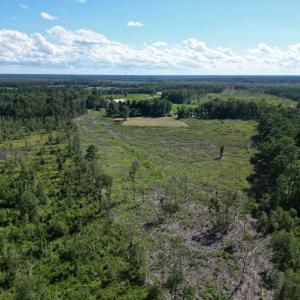Photo #16 of TBD Highway 792, Loris, SC 21.9 acres