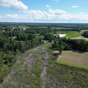 Photo #15 of TBD Highway 792, Loris, SC 21.9 acres