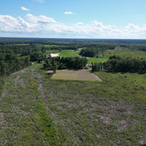 Photo #14 of TBD Highway 792, Loris, SC 21.9 acres
