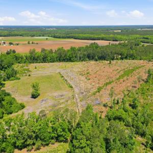 Photo #9 of TBD Highway 792, Loris, SC 21.9 acres