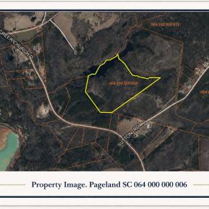 Photo #3 of TBD Sutton Rd., Pageland, SC 44.9 acres
