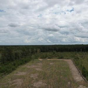 Photo #2 of TBD Terrell's Bay Rd., Centenary, SC 65.0 acres